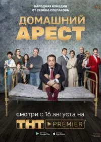 Домашний арест 1-12 серии